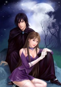 豪门闪婚:总裁的生子新娘